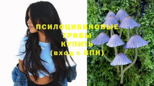 mix Долгопрудный