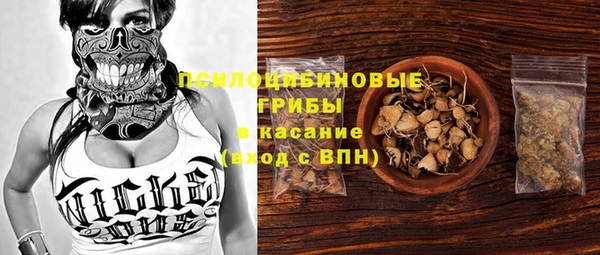 PSILOCYBIN Михайловск
