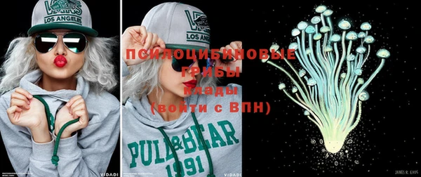 PSILOCYBIN Михайловск