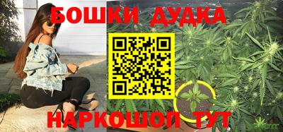 ГАЛЛЮЦИНОГЕННЫЕ ГРИБЫ Аргун