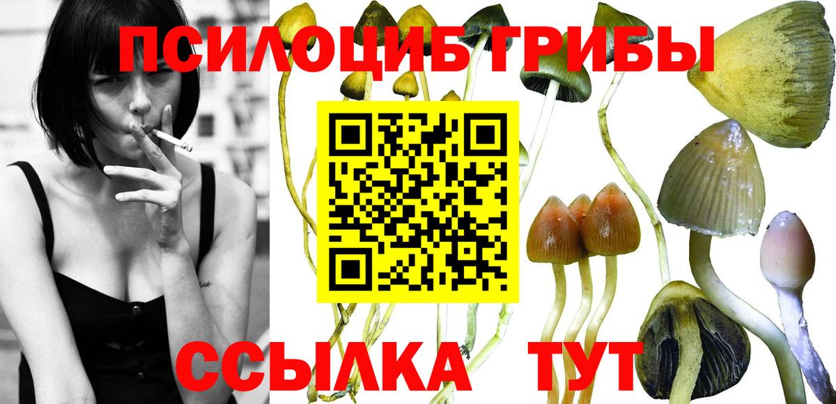 Чистополь  Псилоцибиновые грибы GOLDEN TEACHER  Вход с VPN  Галлюциногенные грибы прущие грибы 
